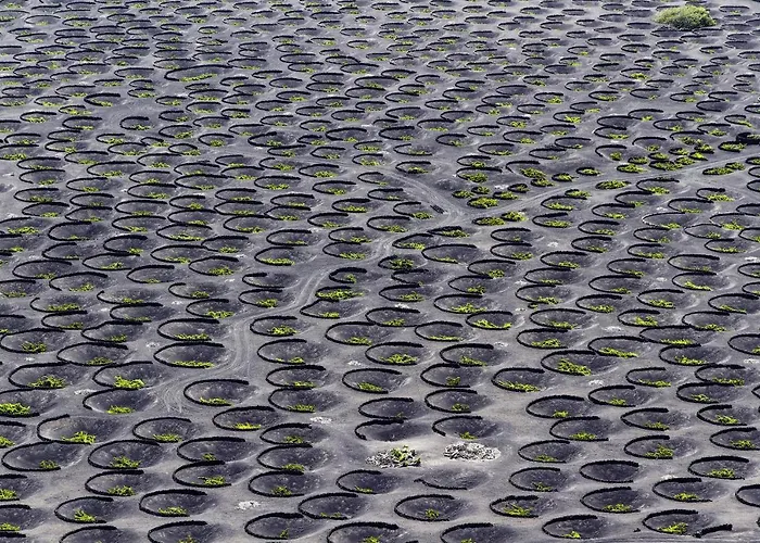 Casa Alvaria 펜션 Punta Mujeres